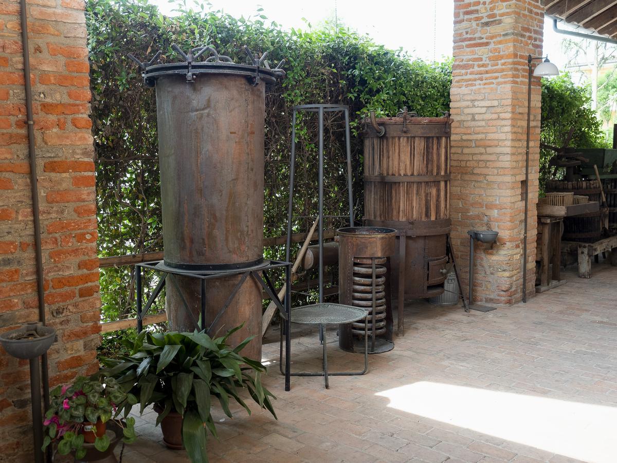 Agriturismo Il Palazzone Montegalda Buitenkant foto